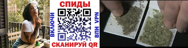 купить  цена  Пролетарск  БУТИРАТ буратино 
