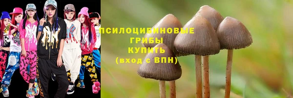 круглые Покачи