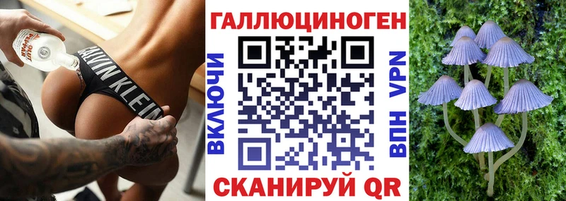 сайты даркнета телеграм  Пролетарск  Псилоцибиновые грибы мицелий 